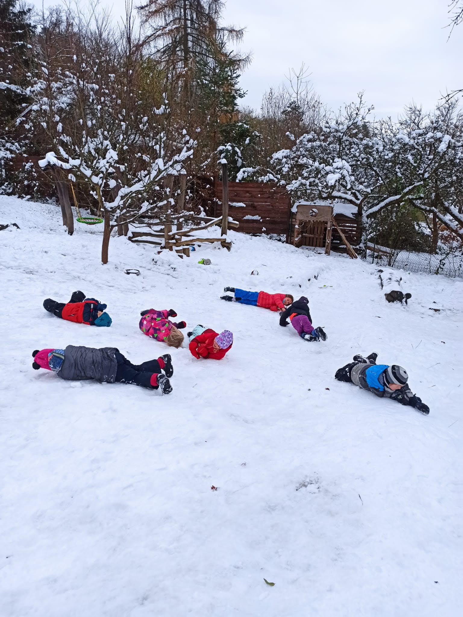 Fotografie 20